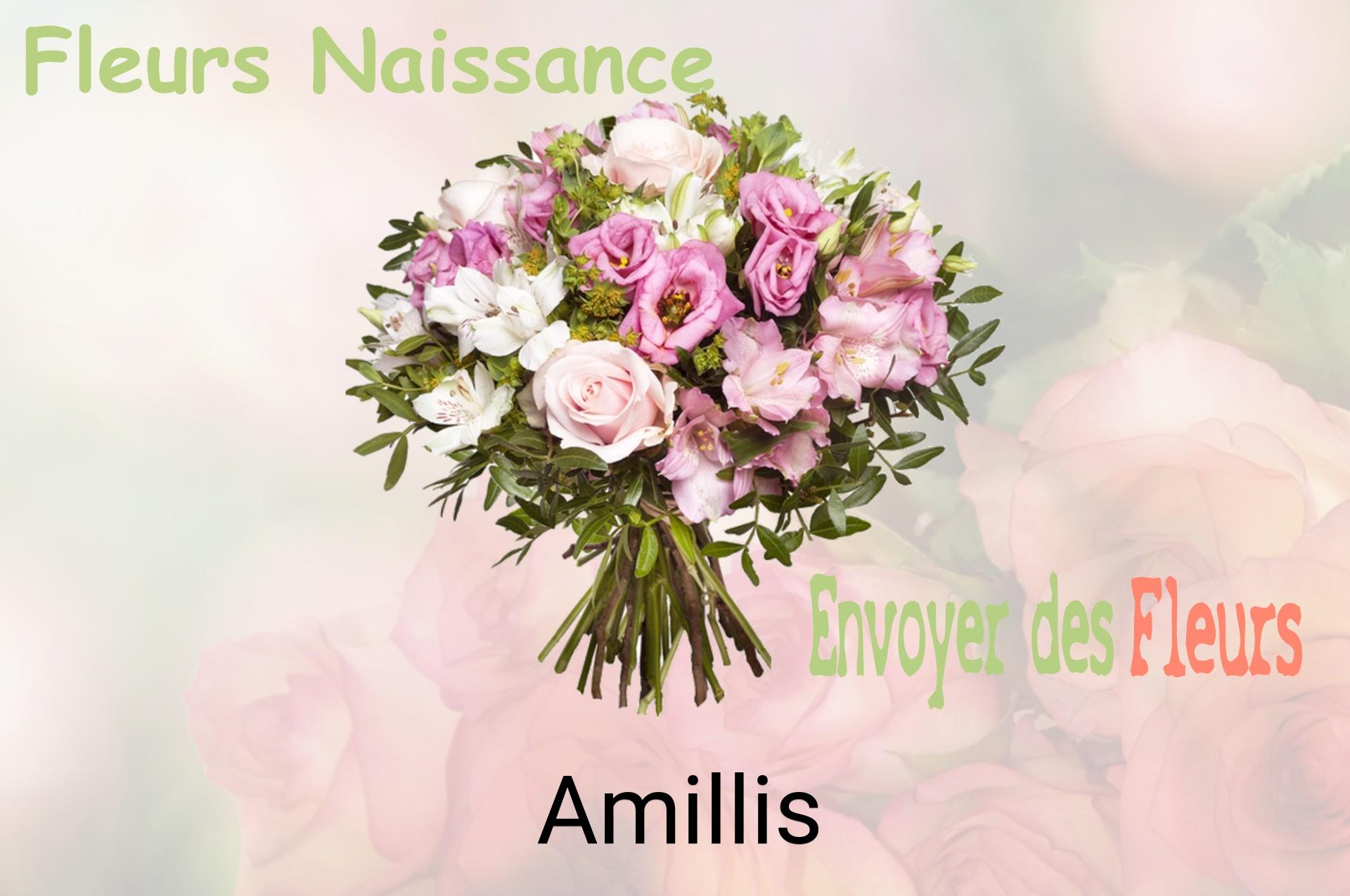 Bouquet de fleurs de naissance livré à Amillis